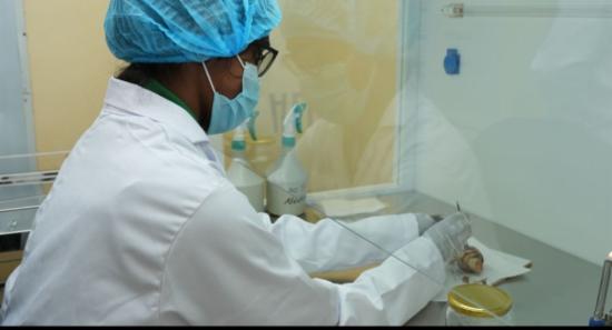 FAO, China, Sri Lanka Team Up